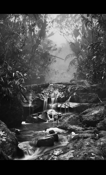 Um dos cursos de rio preservados com suas cachoeiras cercadas de bromélias, açaizeiros, tipo de paisagem que inspirou os jardins de Burle Marx Foto: Terceiro / Sebastião Salgado/Amazonas Images