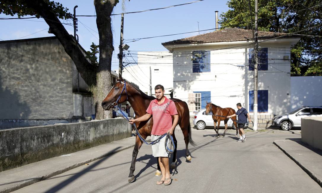 Em plena Lagoa, moradores de vilas do Jockey Club Brasileiro mantêm rotina  de cidade rural - Jornal O Globo