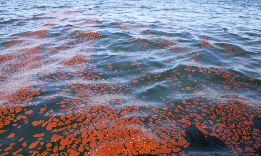 
Mancha do óleo derramado no Golfo do México, após a explosão da plataforma Deepwater Horizon, que deixou 11 trabalhadores mortos
Foto:
NICOLE BENGIVENO
/
NYT/7-5-2010

