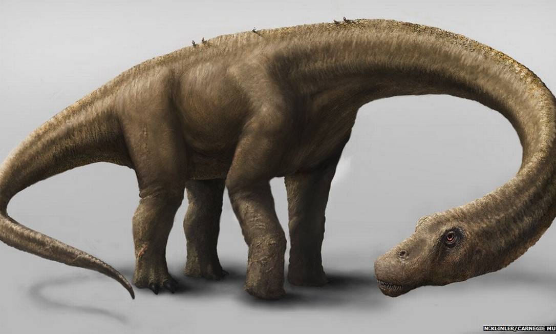 Cientistas Reúnem 70% Dos Ossos Do Maior Dinossauro Já Descoberto No ...