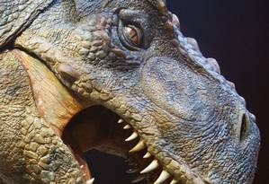 Tiranossauro Rex caminhava surpreendentemente devagar, descobre estudo