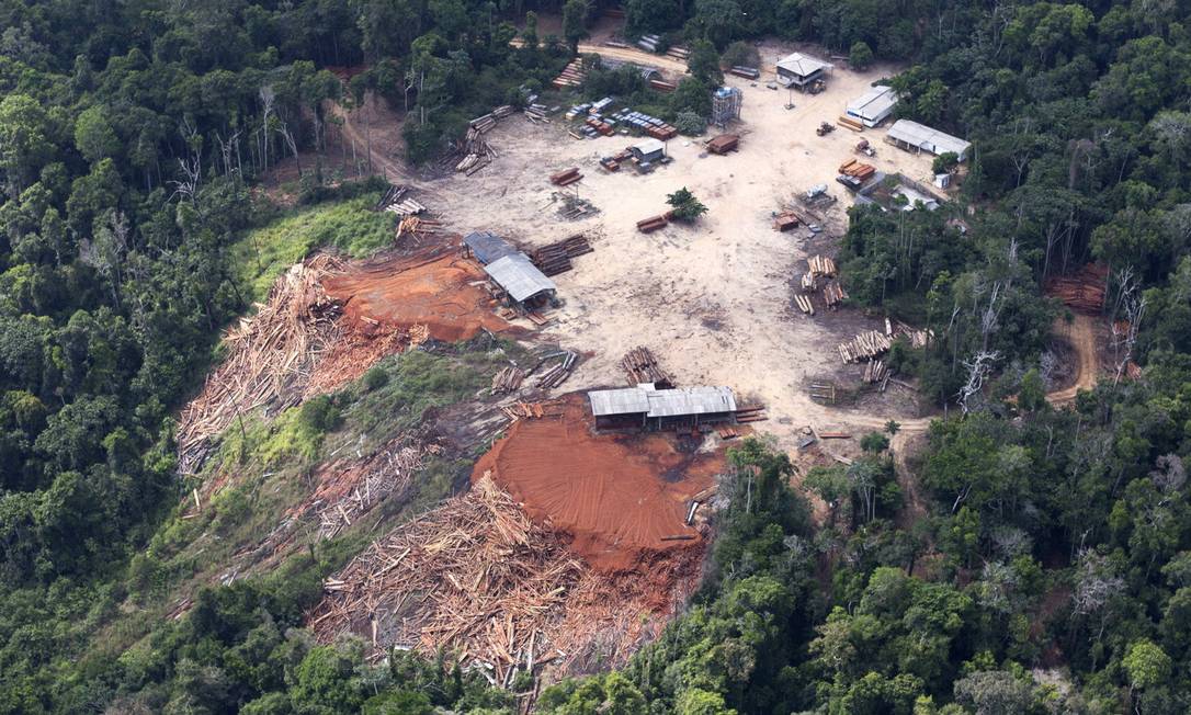 
Clareiras: local de retirada de madeira ilegal em uma área próxima da Santarém
Foto:
Otávio Almeida/ Greenpeace
/

