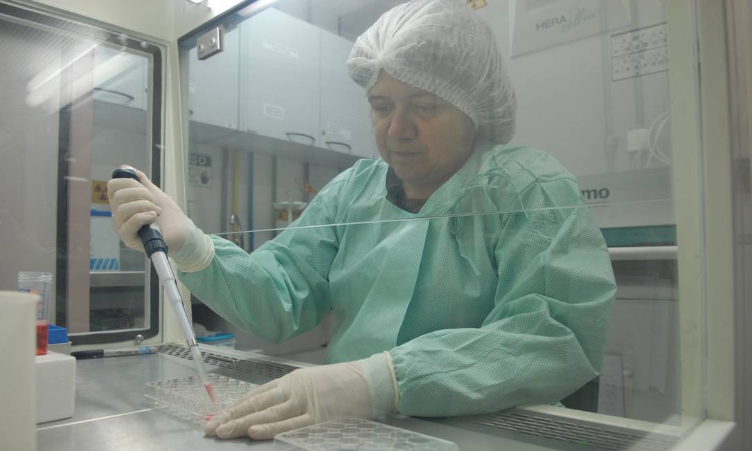 
A pesquisadora Myrna Bonaldo em laboratório na Fiocruz: trabalho minucioso de engenharia genética para editar e alterar vírus da febre amarela
Foto:
/
Divulgação
