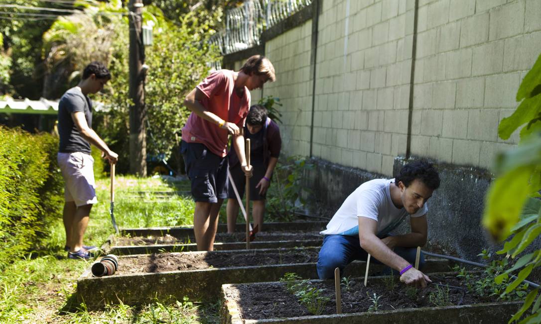 Educação ambiental. Alunos de colégio no Rio cuidam de horta: ONU quer sustentabilidade nos currículos Foto: Guilherme Leporace / Agência O Globo