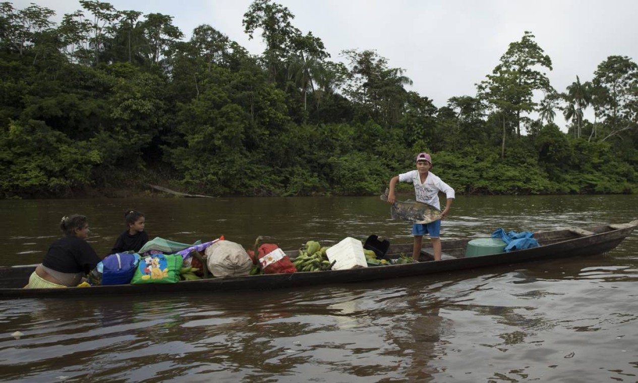 Menino exibe um peixe Tucanaré durante navegação no rio Ati-Paraná. O pescado custa R$ 6 Foto: Antonio Scorza / Agência O Globo