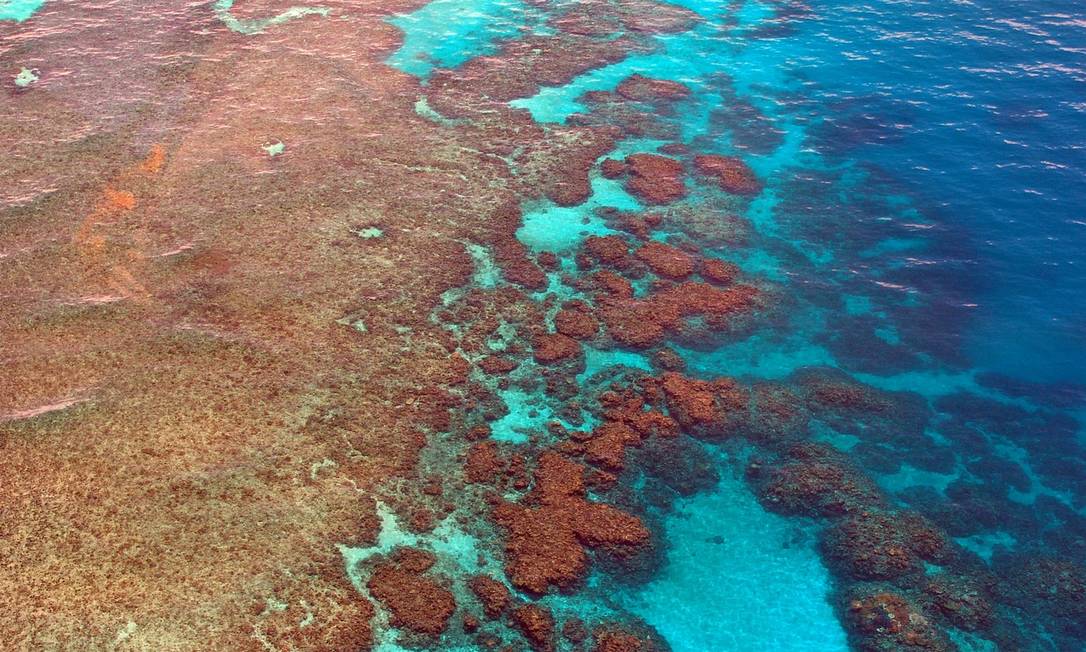 
Alterações climáticas botam em questão a manutenção da faixa de corais
Foto:
/
Reprodução/Pixabay
