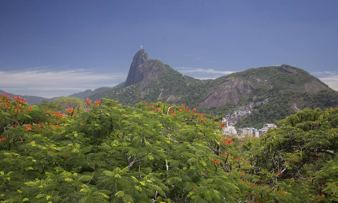 Atrações do Mirante Rio O GLOBO, no alto do Pasmado ...