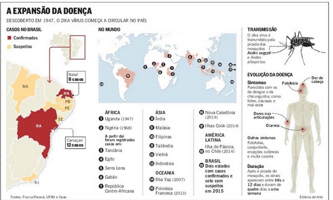 OMS prevê 4 milhões de casos de zika nas Américas em um ano