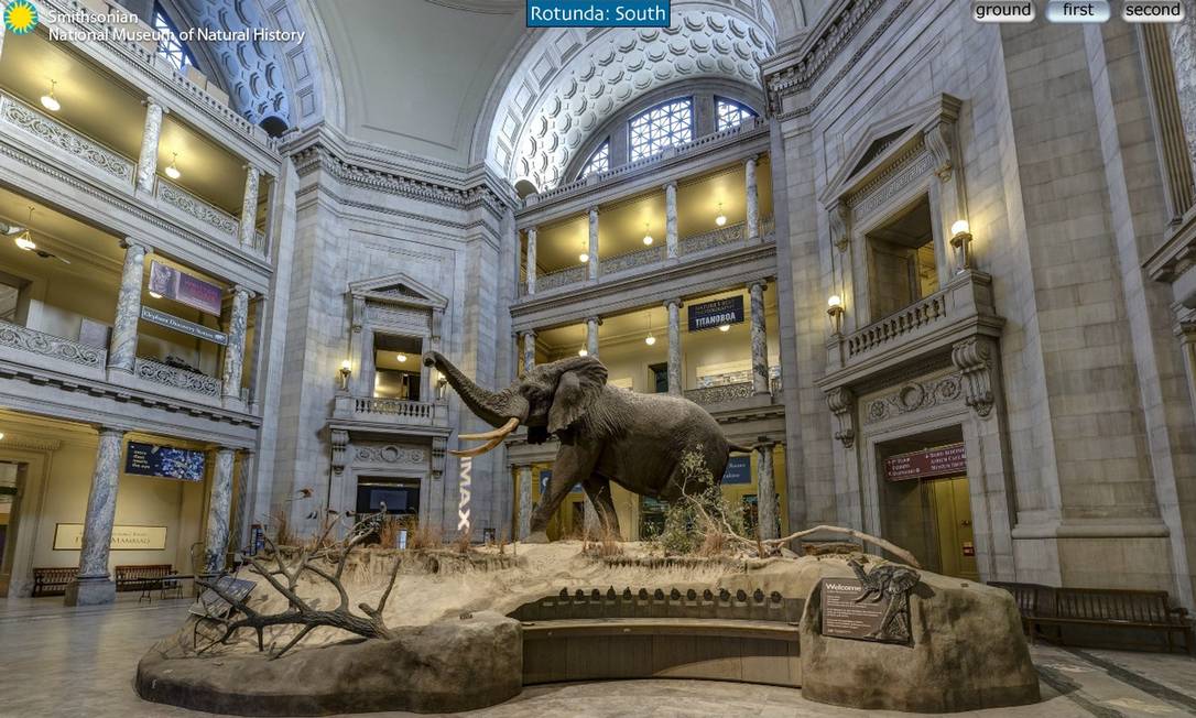 
O Museu Nacional de História Natural Smithsonian permite que os visitantes de seu site andem virtualmente pelos seus corredores e vejam a sua coleção de casa
Foto: Reprodução 