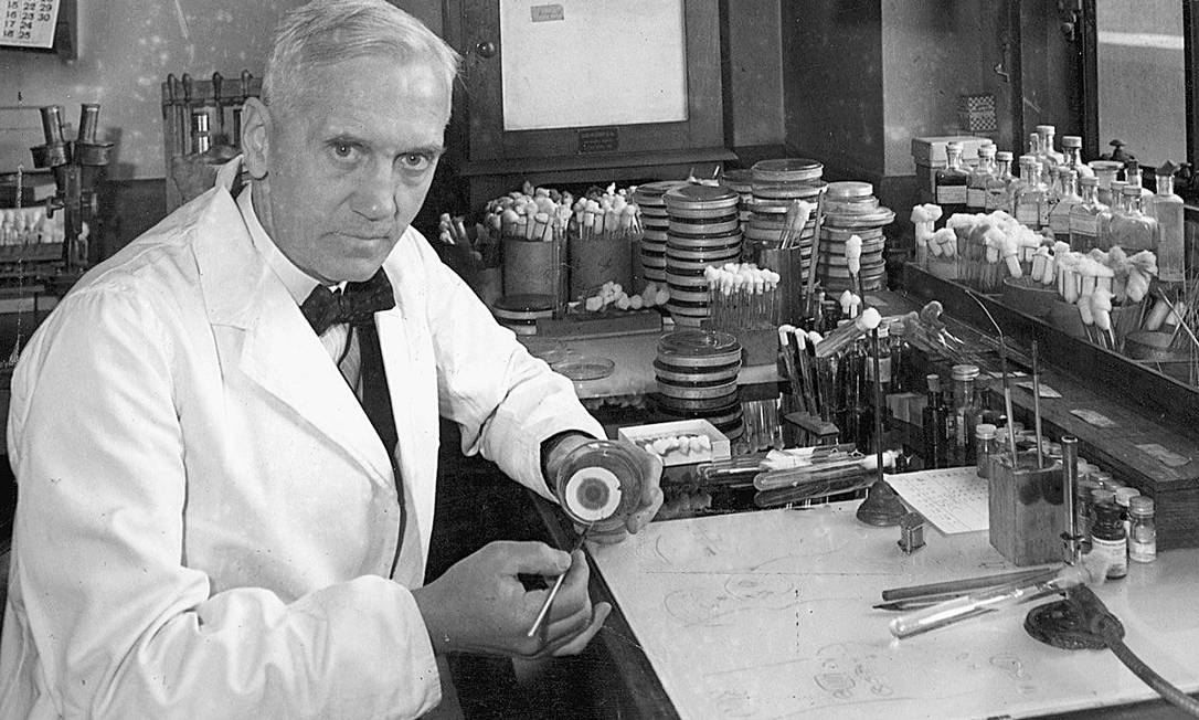 Introducir 81+ imagen frases de alexander fleming - Abzlocal.mx