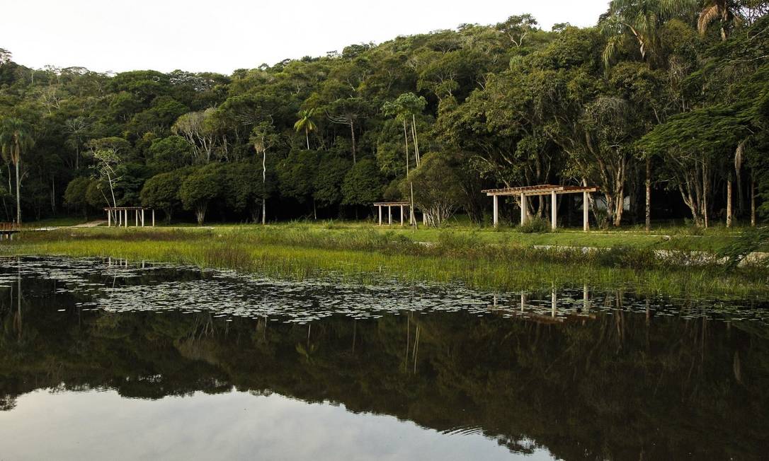 Ufjf Conclui Em 2016 Projeto No Jardim Botânico Que Inclui Até Teleférico Jornal O Globo 5959