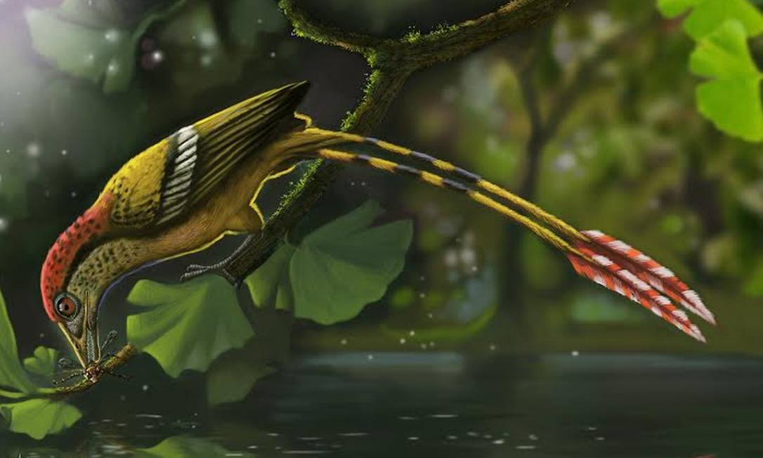 
Ilustração da ave encontrada no Ceará: espécie viveu há 115 milhões de anos
Foto:
Divulgação/Deverson Pepi
/
