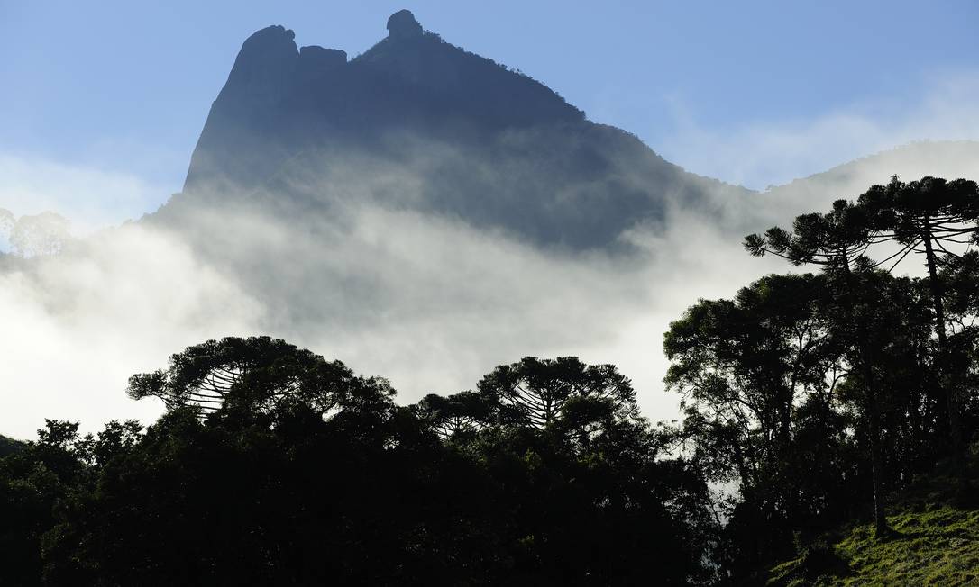 Pedra Selada Florestal