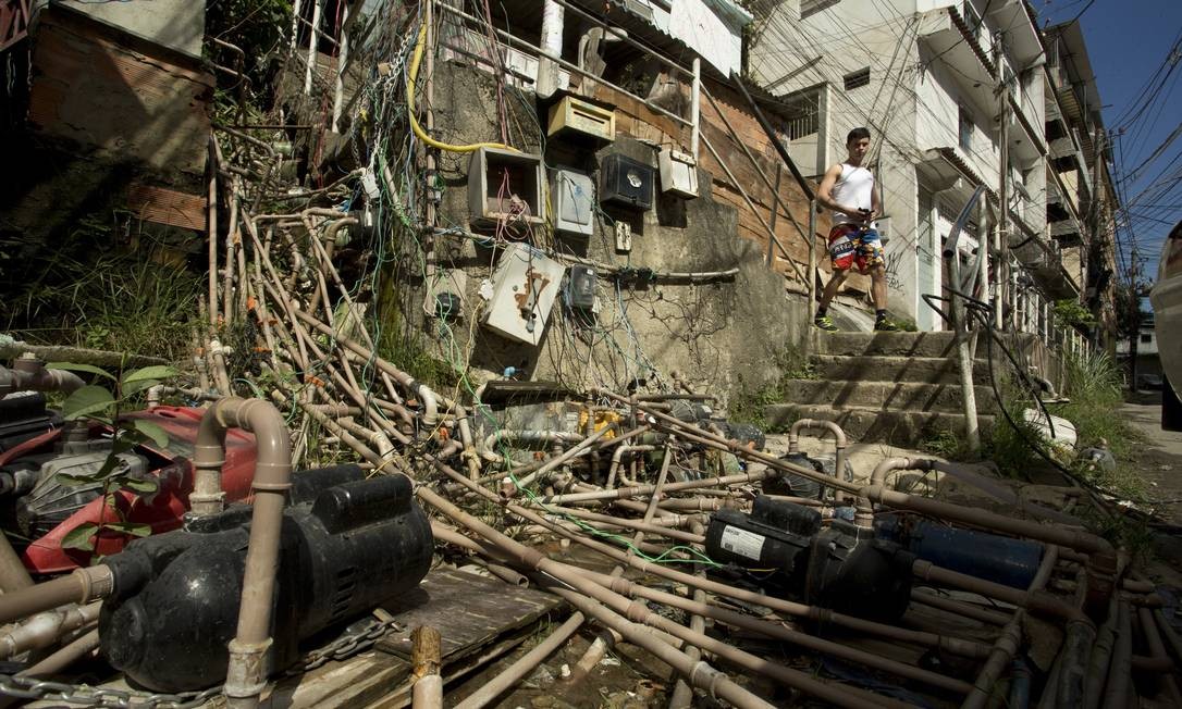 Favelas Rats 'Gatos' se proliferam nas favelas - Jornal O Globo