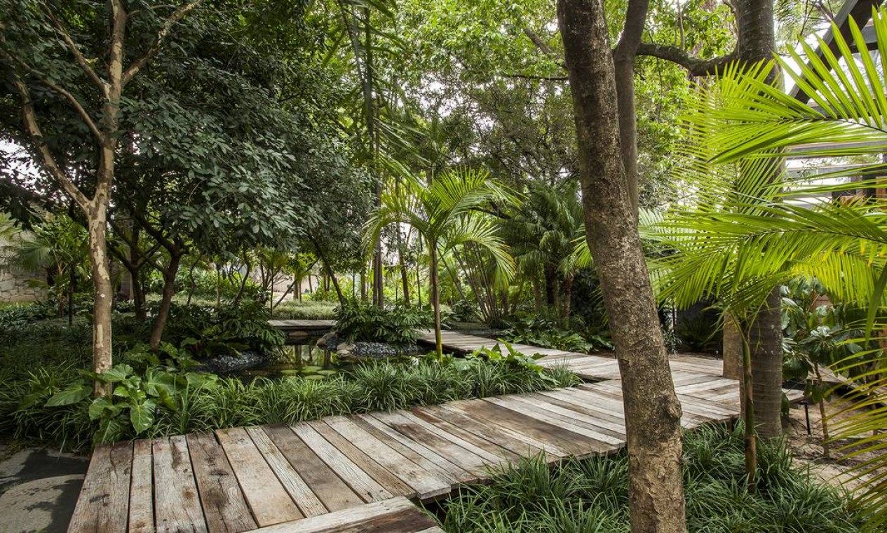 O Jardim do Bosque foi criado pelo paisagista Gilberto Elkis em uma área de 800m². Espécies tropicais foram escolhidas para o espaço, que também conta com um lago Foto: Divulgação