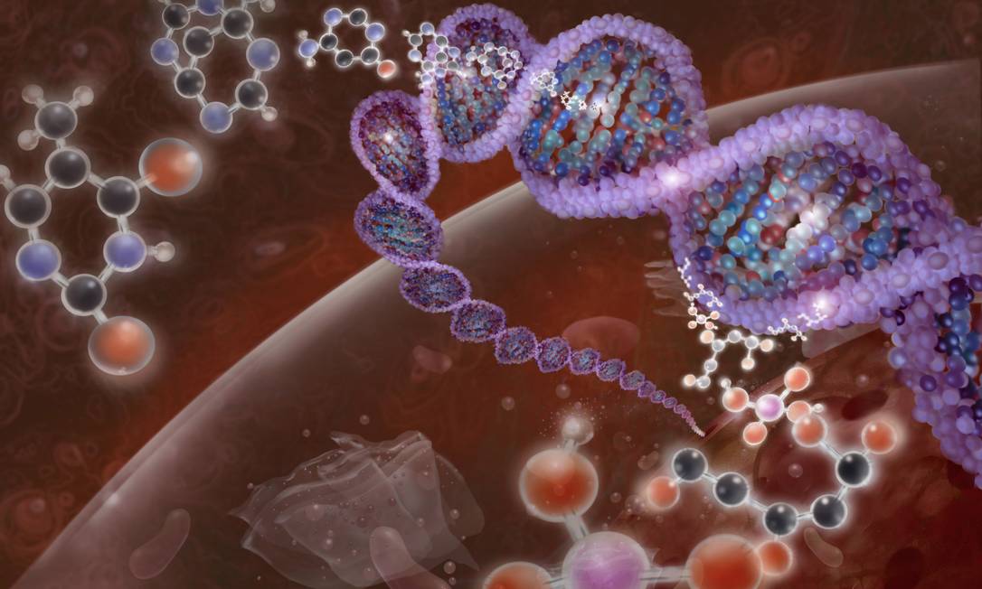 
Ilustração de uma molécula de DNA acompanhada por seus pares de base e tendo ao fundo células: vida percorreu um longo caminho até chegar à sua complexidade atual
Foto:
Latinstock

