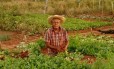 O agricultor José Maurin, de 75 anos, foi um dos afetados pelo corte no programa Aquisição de Alimentos (PAA)