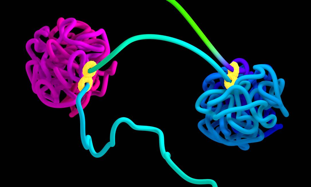 
Ilustração mostra cadeia de DNA com ‘novelos’ formados em processo ditado por proteína em forma de ‘8’
Foto:
Najeeb Marc Tarazi/Adrian Sanborn/Erez Lieberman Aiden
