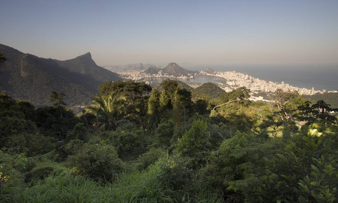 Parque Nacional da Tijuca enfrenta dificuldades de preservação - Jornal
