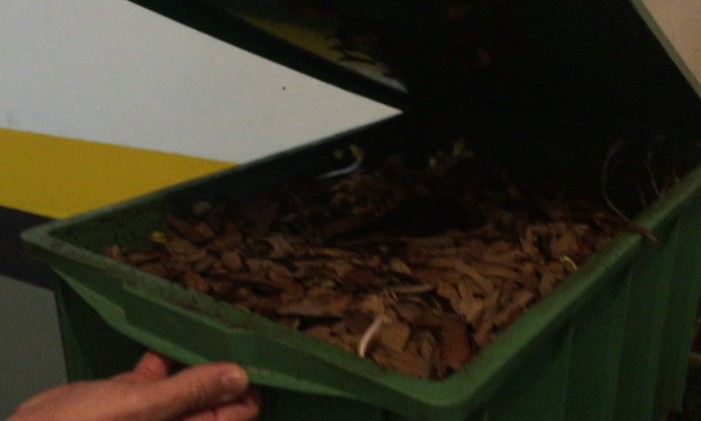 Composteira usa minhocas para transformar lixo em adubo Foto: Guilherme Ramalho