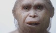 Reconstrução do rosto de um exemplar de Homo floresiensis pelo Atelier Elisabeth Daynes, no Museu do Sítio Arqueológico de Sangiran, na Indonésia