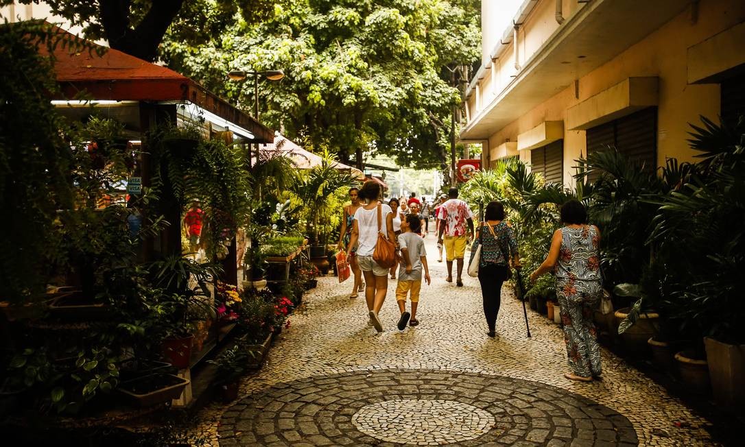 Rua das Flores, na Tijuca, é tombada como patrimônio do Rio Jornal O