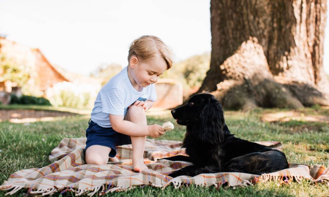 Príncipe George, que hoje completa três anos, brinca Lupo, o cão da família, em Norfolk, na Inglaterra Foto: MATT PORTEOUS / AFP