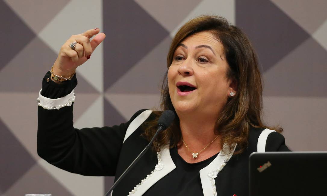 A senadora Kátia Abreu Foto: Ailton Freitas / Agência O Globo