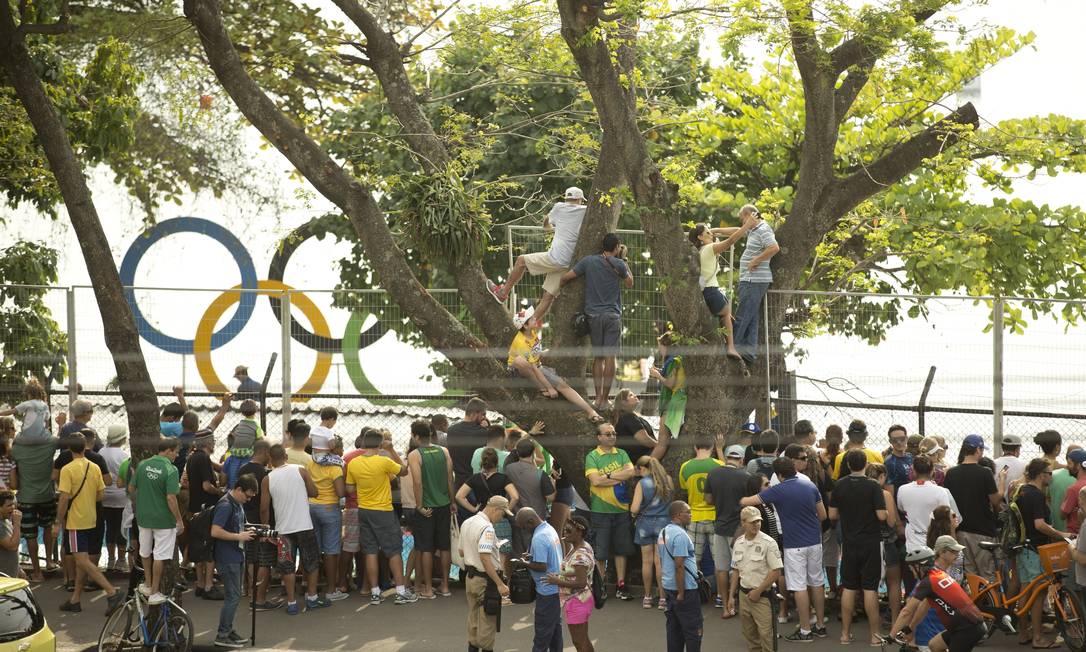 Até na árvore: público lota entorno da Lagoa para ver nossos heróis da canoagem Foto: Márcia Foletto / O Globo