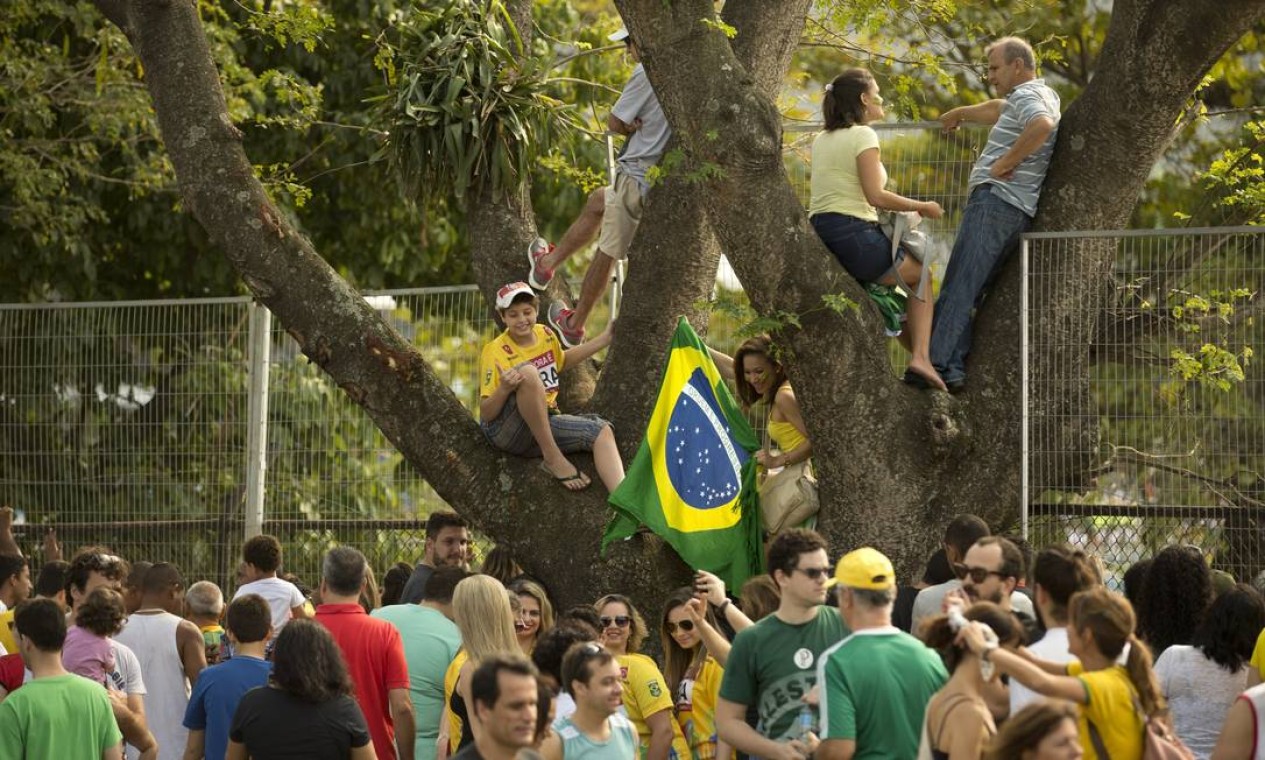 Até subir em árvore para ter uma vista privilegiada Foto: Márcia Foletto / Agência O Globo