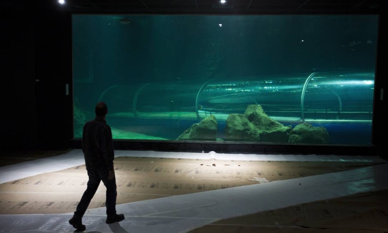 O painel de acrílico de 9 metros de largura por 4 de altura, com visão para o tanque oceânico Foto: Guilherme leporace / Agência O Globo