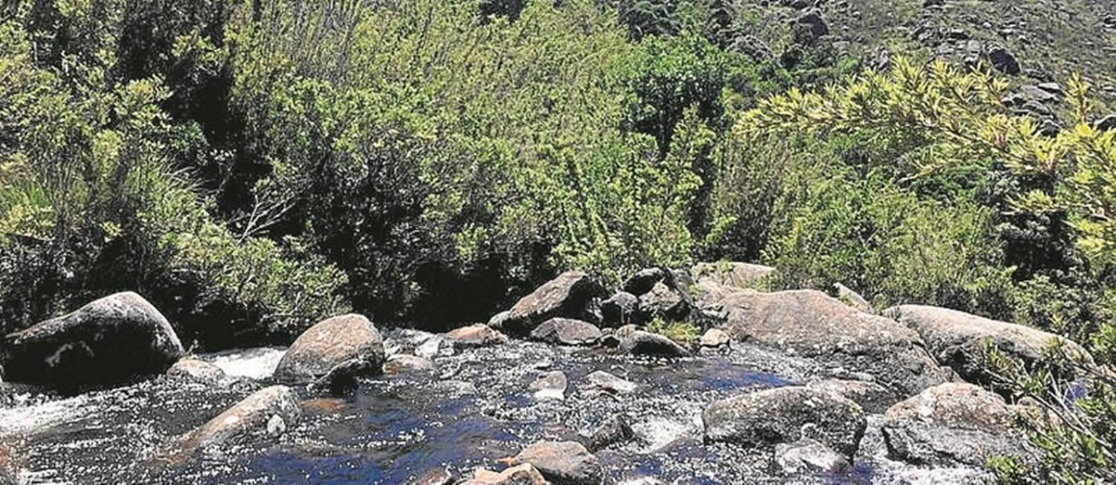 Chuva de veneno – Estadão