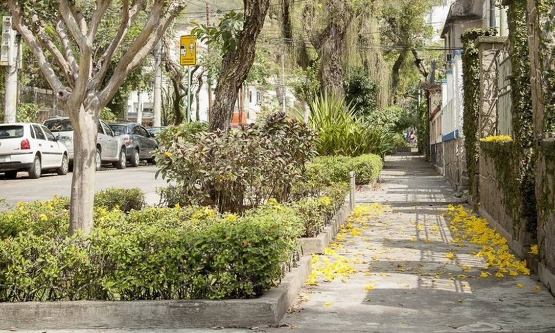 Concurso de canteiros quer resgatar vocação paisagística do Grajaú ...
