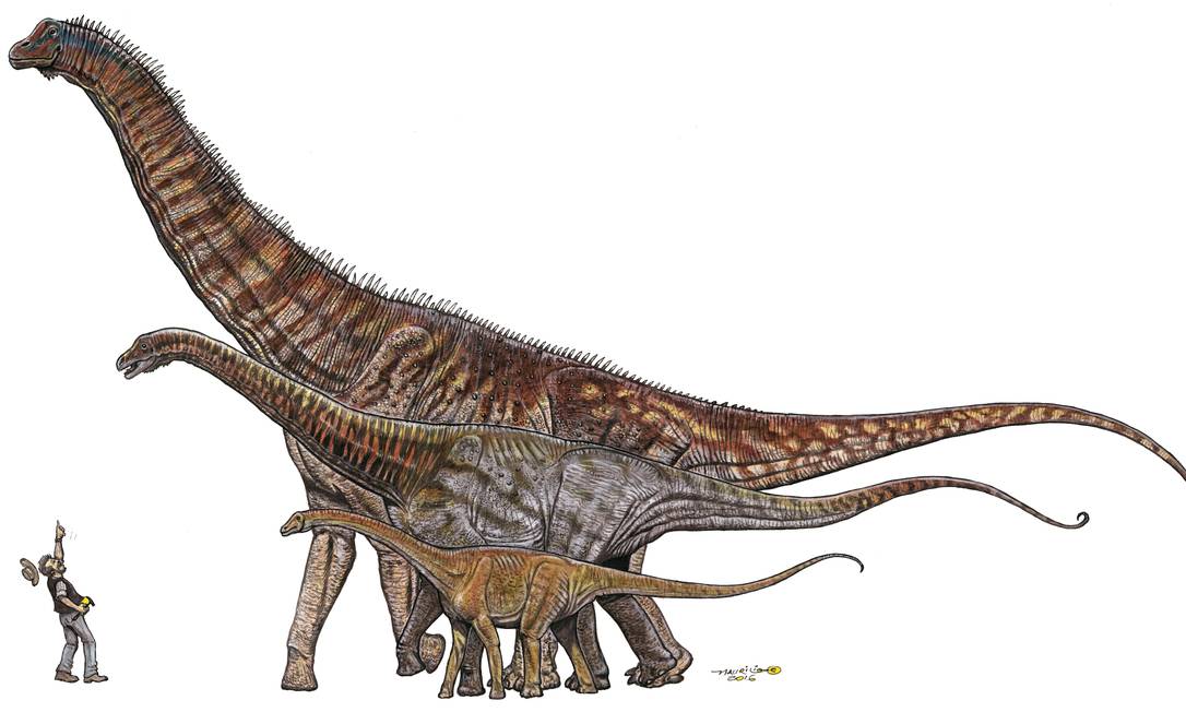 Dinossauro gigante inédito é descoberto na Austrália