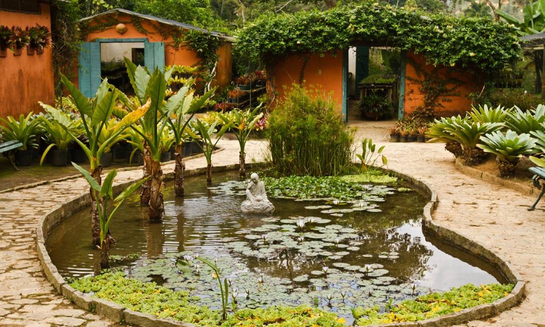 Horto Brejal, em Petrópolis, tem exposição de orquídeas e