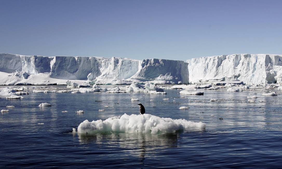 Pinguim sobre bloco de gelo na Antártica. O aumento da intensidade do derretimento das calotas polares é uma das consequências do aquecimento global Foto: Pauline Askin 23/01/2010 / Reuters