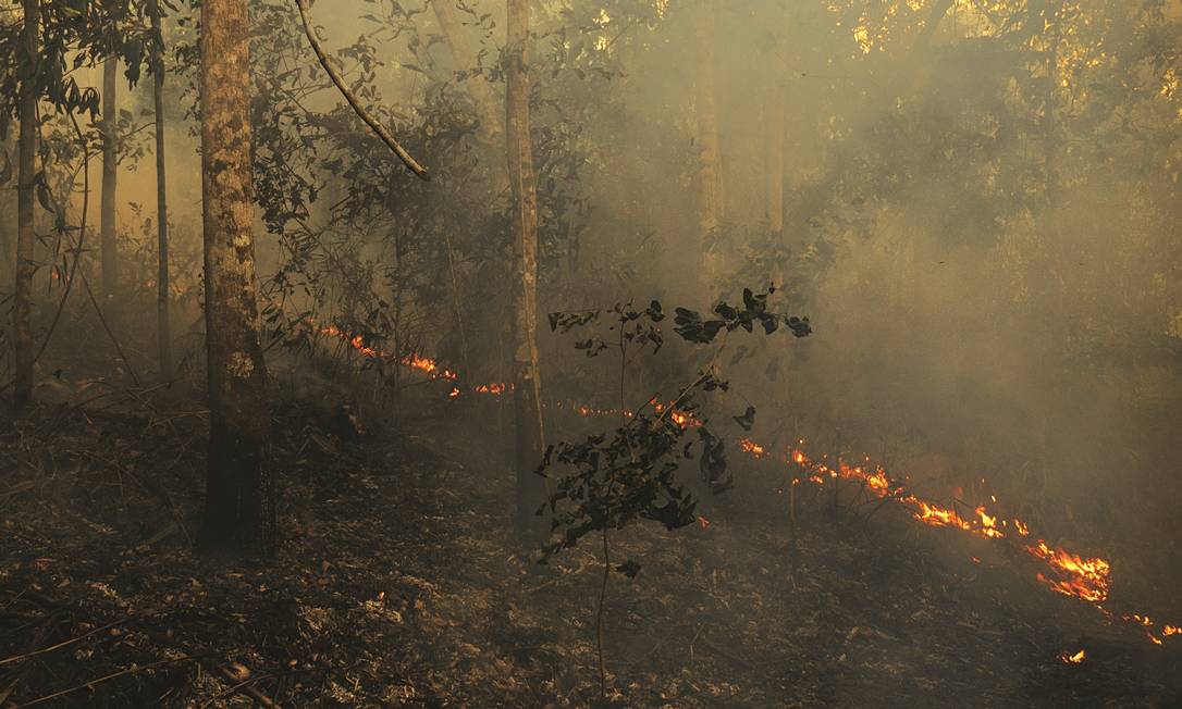 Inpe identificou 79,6 mil focos de incêndio na Amazônia este ano ...