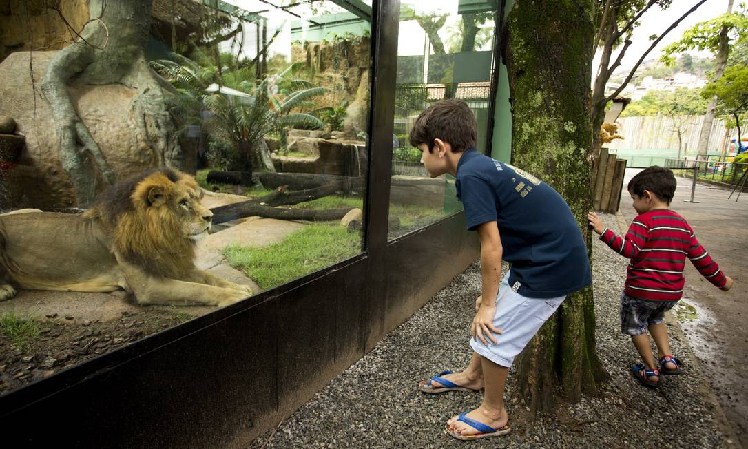 Zoológico do Rio reabre com novidades