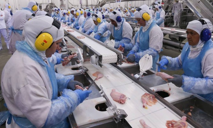 Linha de produção da fábrica da processamento de aves (frangos e derivados) da JBS em Lapa, no Paraná Foto: ANDRE COELHO / Agência O Globo