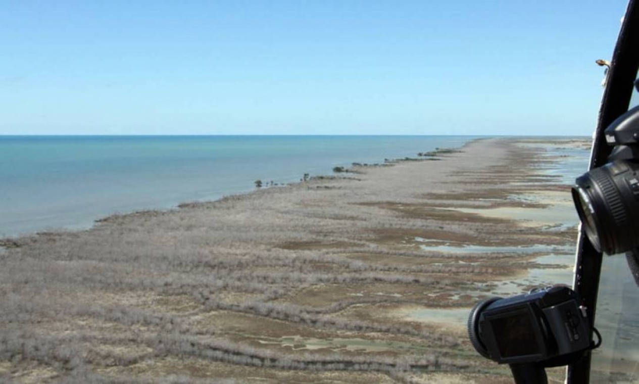 Manguezal com 7.400 hectares morreu de "sede" no Golfo de Carpentária, na Austrália Foto: AFP / NORMAN DUKE