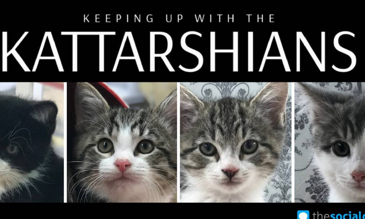 Estrelas de "Keeping up with the Kattarshians" Jornal O Globo