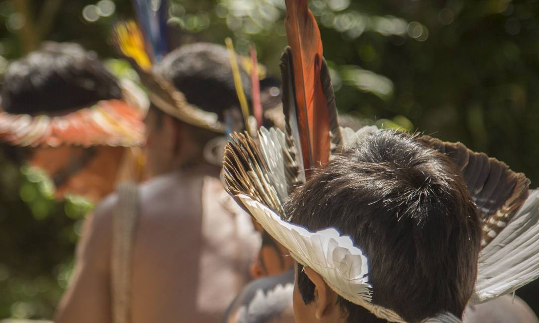 
Poder colonial, com o processo missionário, tentou ‘domesticar’ a sexualidade indígena
Foto:
/
Analice Paron

