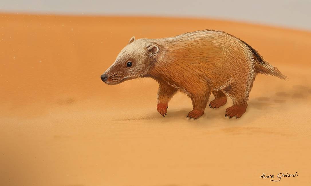 
Ilustração mostra possível aparência do ‘Aracoaraichnium leonardii’ com o animal caminhando sobre as dunas do Paleodeserto Botucatu
Foto:
Divulgação/Aline Ghilardi
