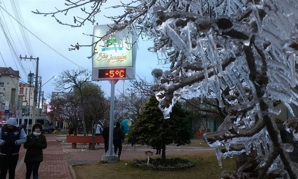 São Joaquim: Termômetro marca -5ºC, e árvores congelam Foto: Mycchel Hudsonn Legnaghi / O Globo/Fotos Públicas