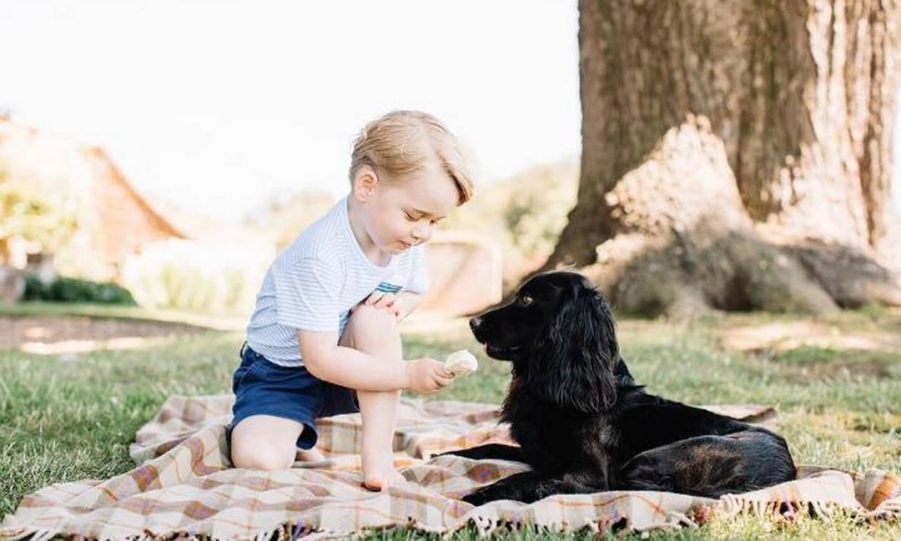 George e o cachorro Lupo em foto divulgada em comemoração ao aniversário de três anos Foto: Matt Porteous/ Kensington Palace/ Reprodução/ Instagram / Matt Porteous/ Kensington Palace/ Reprodução/ Instagram