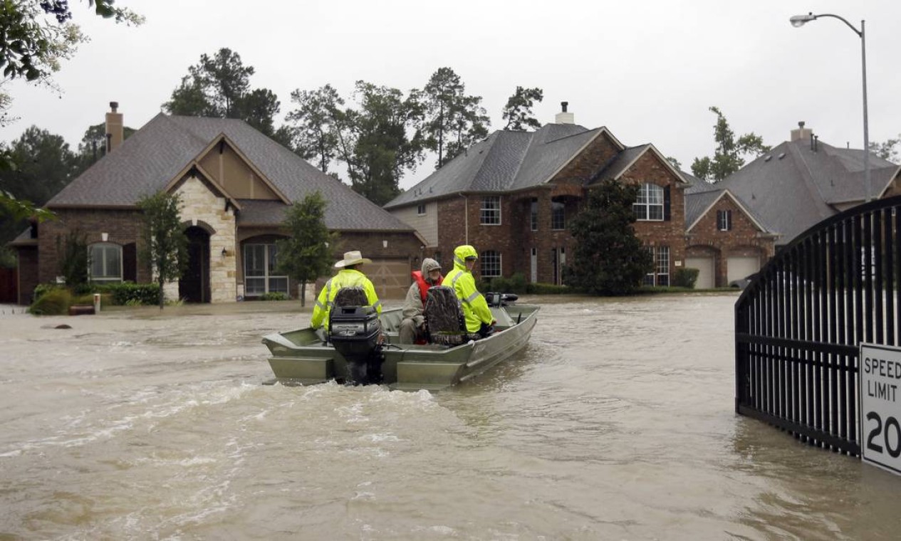 Floodland combina gerenciamento e sobrevivência em mundo alagado