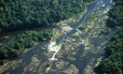 Uma vista aérea do Rio Jari : a região protegida pela reserva de Iratapuru guarda uma das florestas mais espetaculares de toda a Amazônia (Amapá).