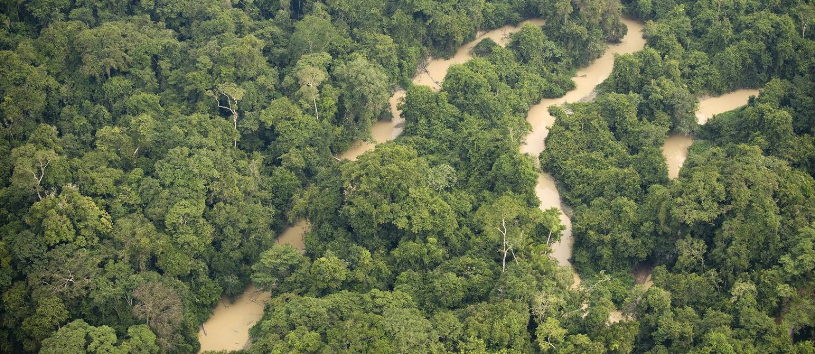 Rio Novo, na Floresta Nacional do Jamanxim, na Amazônia Foto: Antônio Scorza / AFP