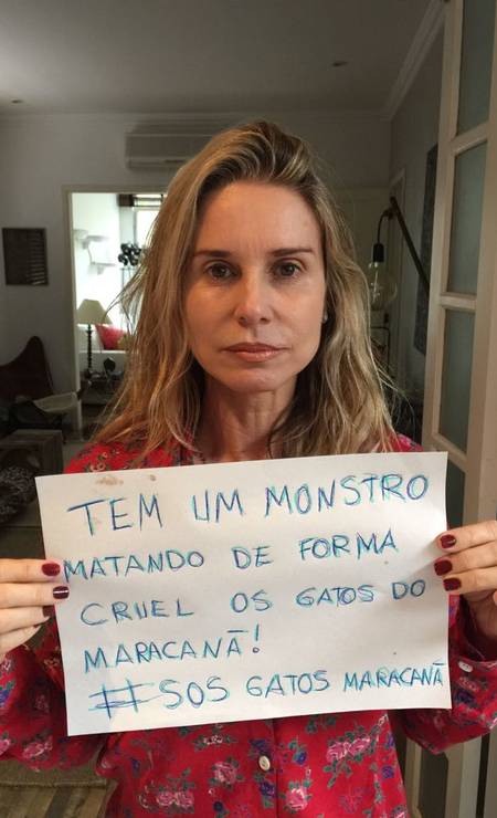 Paula Burlamaqui também entrou na campanha contra a matança de gatos no Complexo do Maracanã, na Zona Norte do Rio Foto: Divulgação