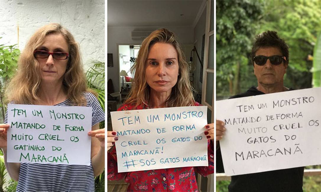 Artistas fazem campanha contra a matança de gatos no Maracanã Foto: Divulgação